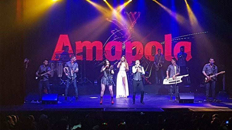 contratacion de amapola