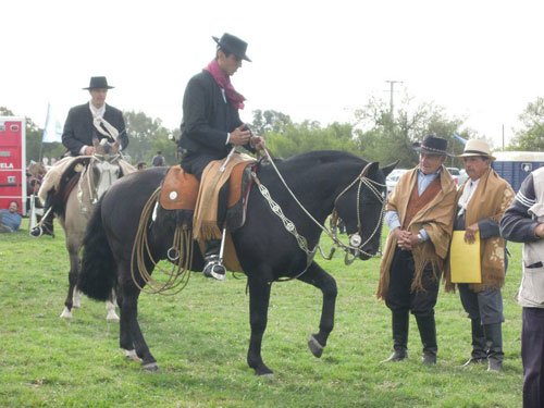  IV Expo del Caballos Criollos [Abril 2012]