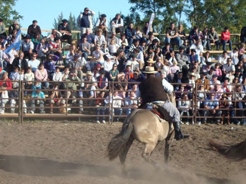 Expo Criollos Chascomus 2012