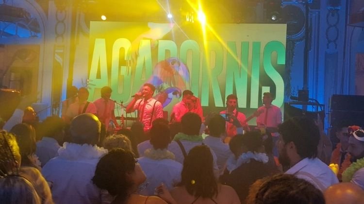 Agapornis en Hotel Alvear