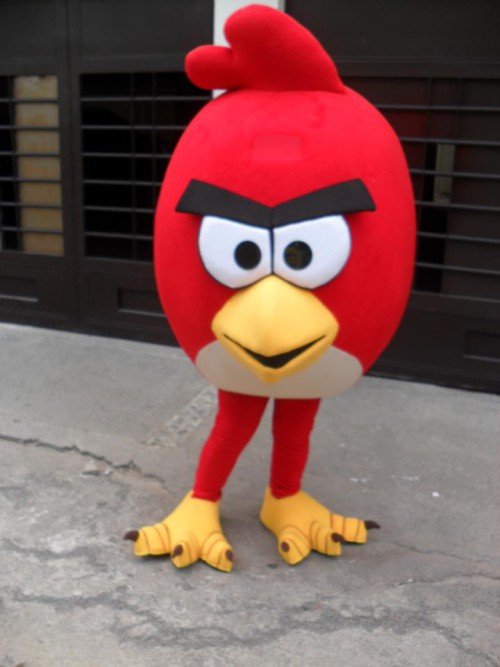 angry birds show contratar