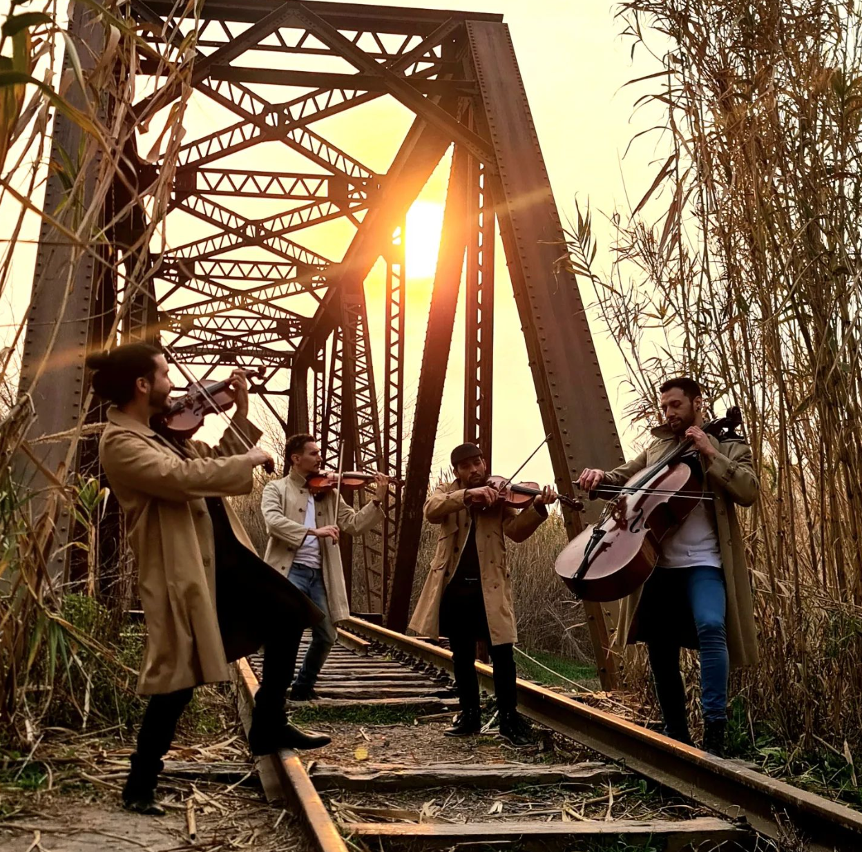 Ave Fenix, cuarteto de cuerdas