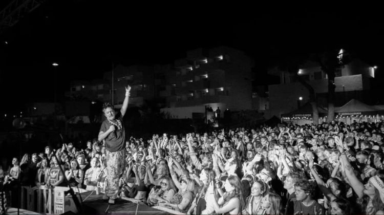  contratar a babasonicos