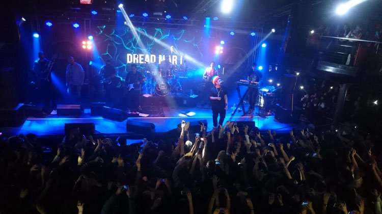 Dread Mar I en Enigma Disco