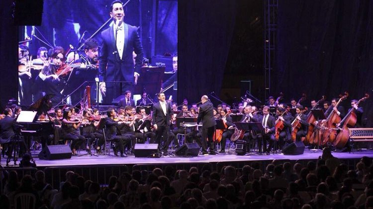 Contratar a Ariel Ardit