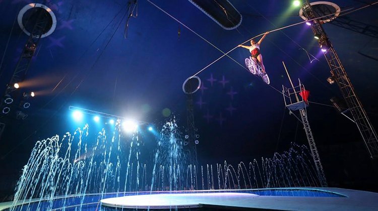 circo splash contrataciones
