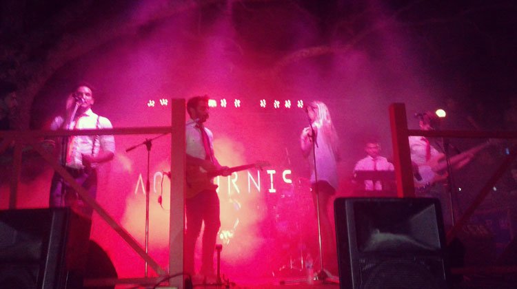 Contrataciones Agapornis