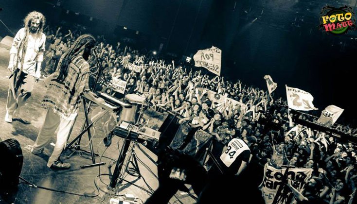 Contratar a Zona Ganjah