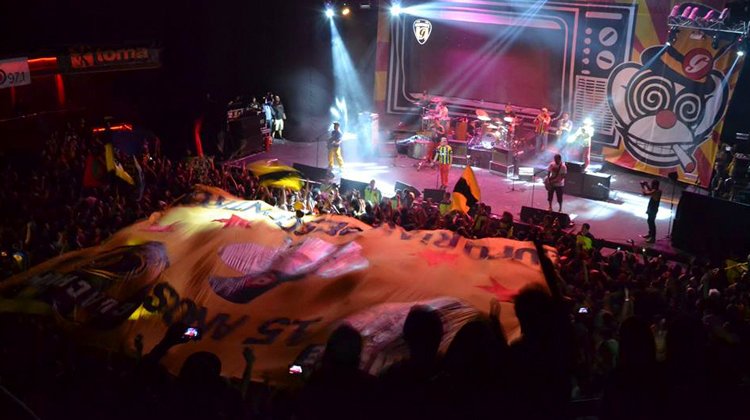 contratar a guachupe